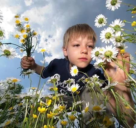 Am Oberrainerhof Farma *