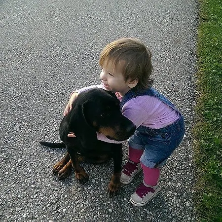 Am Oberrainerhof Arriach