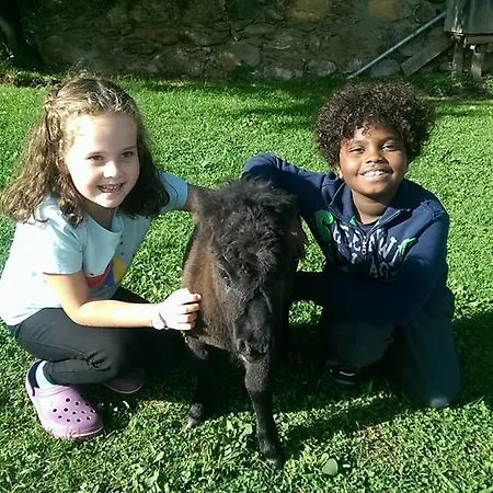 ファームステイ Am Oberrainerhof Arriach