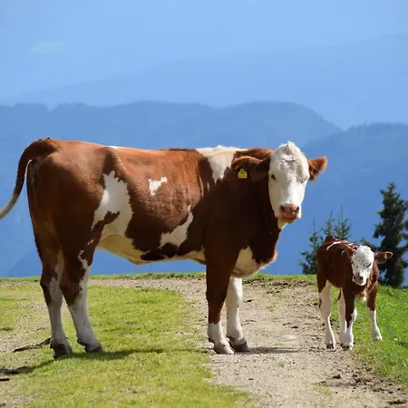 Am Oberrainerhof ファームステイ Arriach