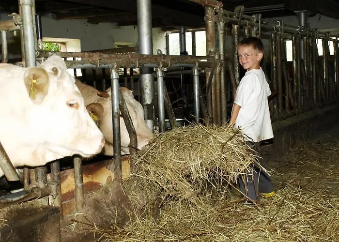 Farm stay Am Oberrainerhof *