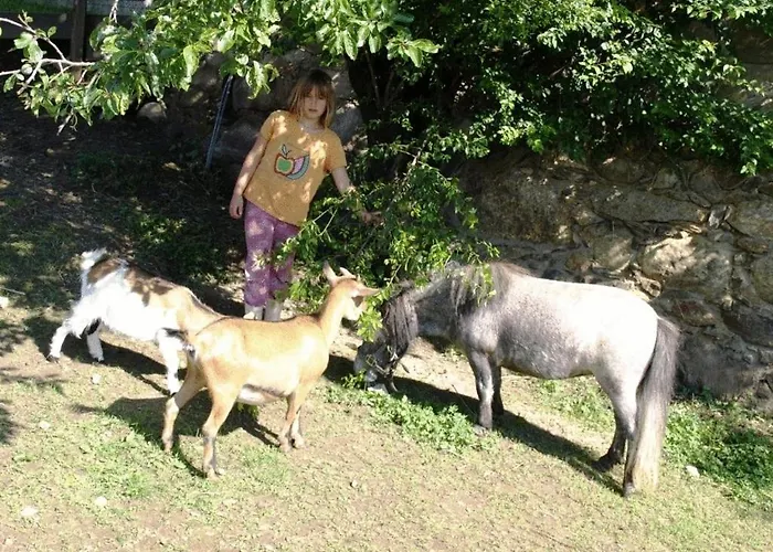 Farm stay Am Oberrainerhof