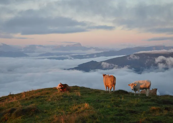 Farm stay Am Oberrainerhof