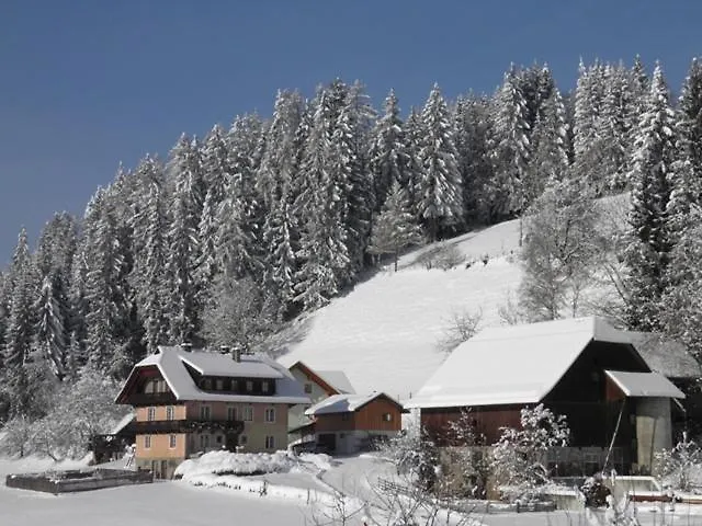 בית חווה Am Oberrainerhof Arriach