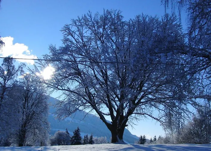 Am Oberrainerhof * Arriach