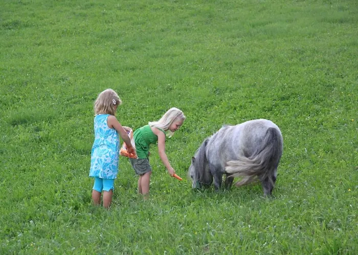 Farm stay Am Oberrainerhof