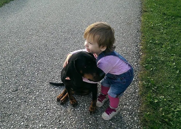 Am Oberrainerhof Arriach