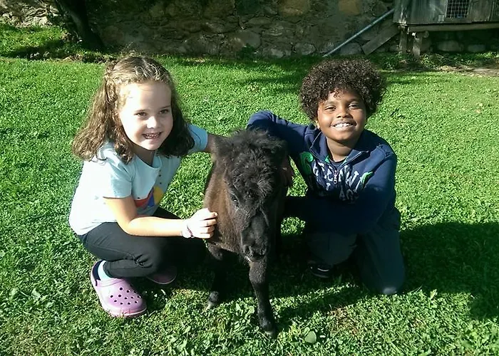 Farm stay Am Oberrainerhof Arriach