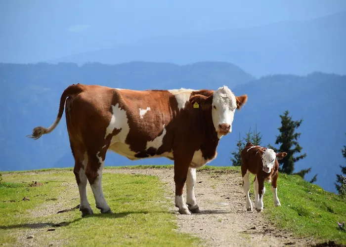 Am Oberrainerhof Farm stay Arriach